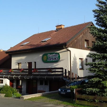 Pension Arnika Destne v Orlickych horach Exteriör bild