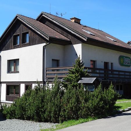 Pension Arnika Destne v Orlickych horach Exteriör bild
