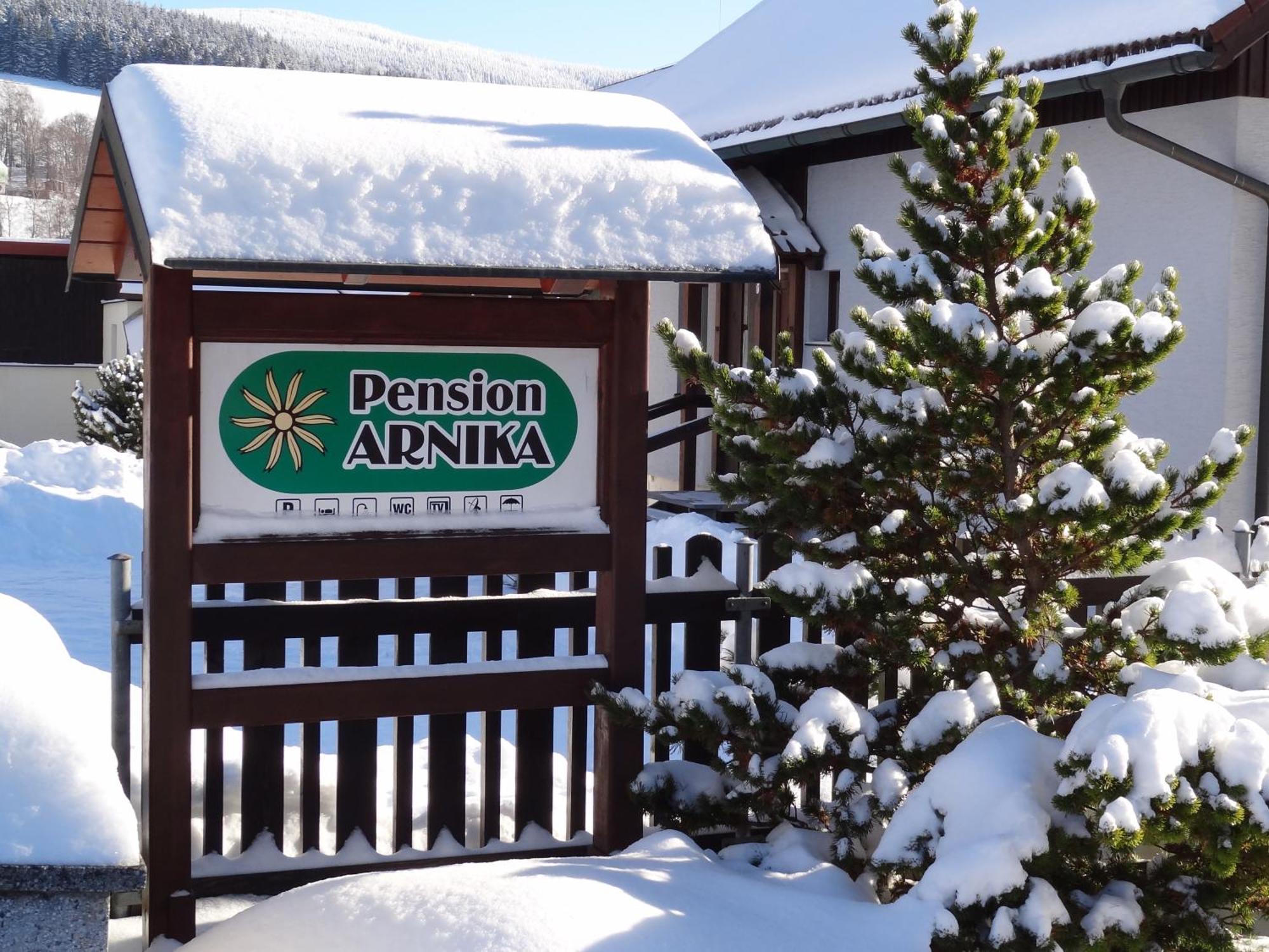 Pension Arnika Destne v Orlickych horach Exteriör bild