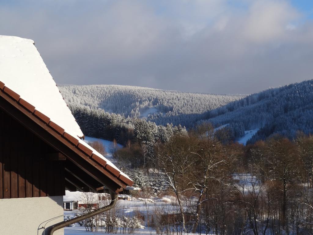 Pension Arnika Destne v Orlickych horach Exteriör bild