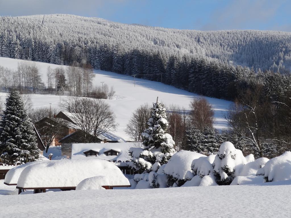 Pension Arnika Destne v Orlickych horach Exteriör bild